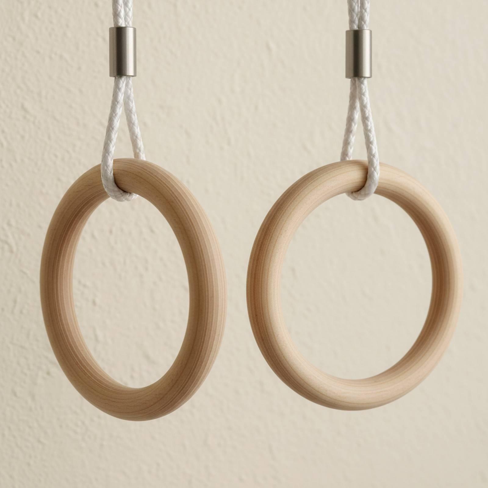Anneaux de gymnastique réglabl - Gymnastic Ring avis et prix